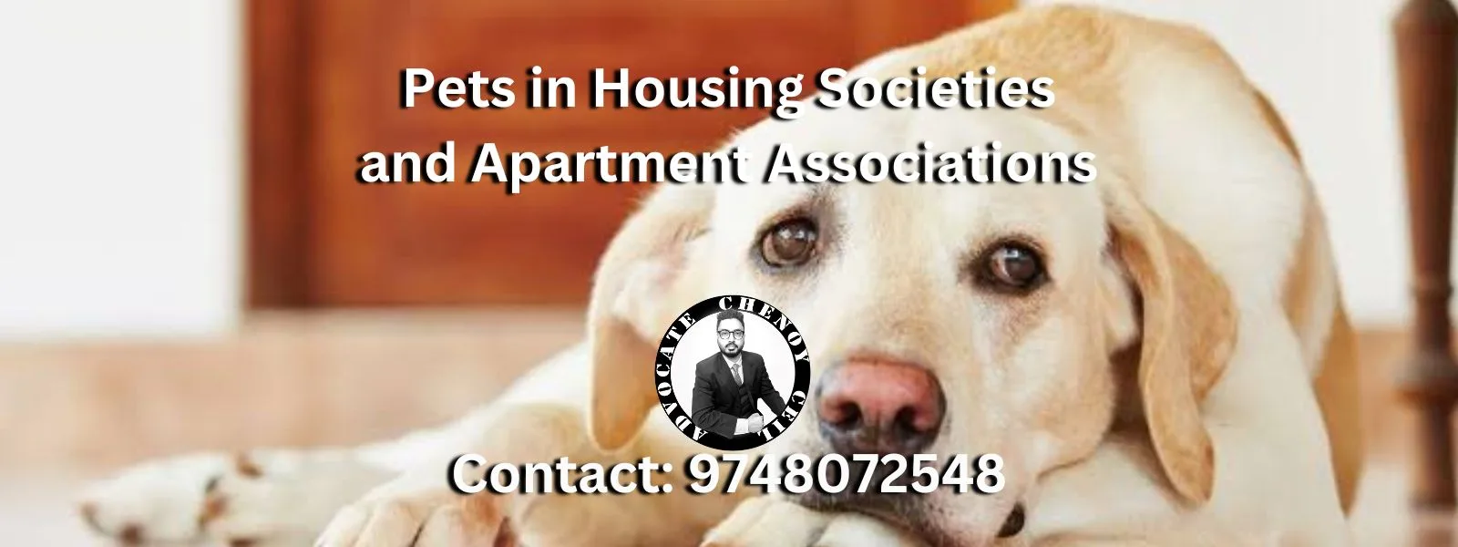 Pets in Housing Societies or Apartments